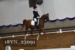 18YN_23091 proof