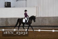 18YN_23232 proof