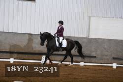 18YN_23241 proof