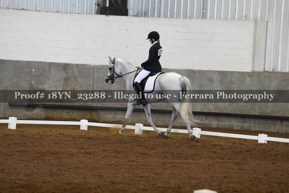 Proof 18YN_23288