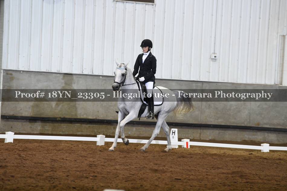 Proof 18YN_23305