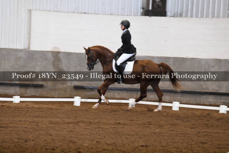 Proof 18YN_23549