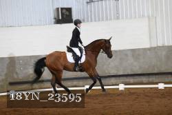18YN_23595 proof