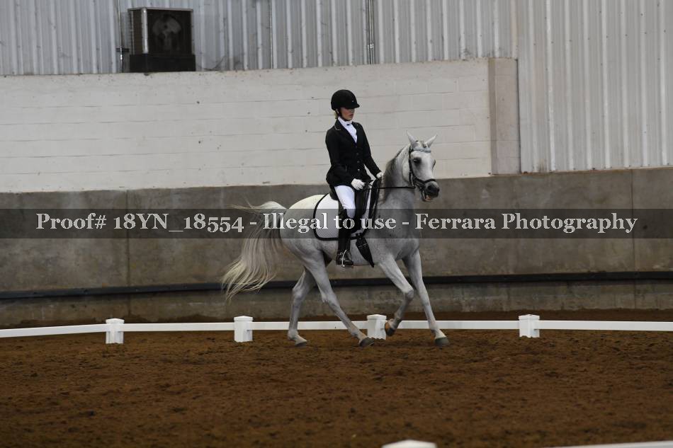 Proof 18YN_18554