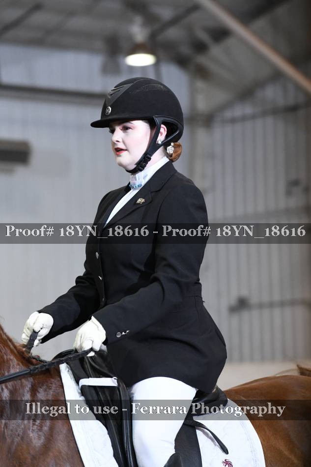 Proof 18YN_18616