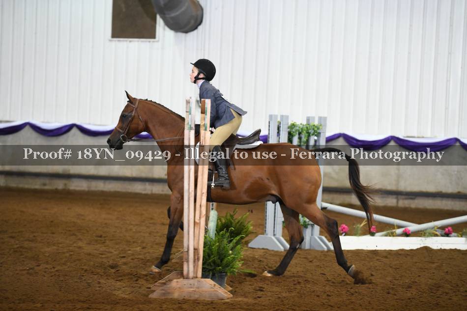 Proof 18YN_09429