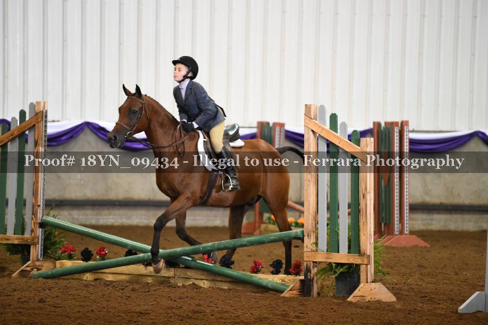 Proof 18YN_09434