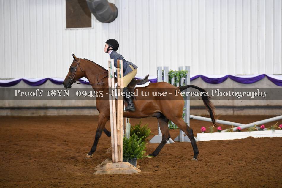 Proof 18YN_09435