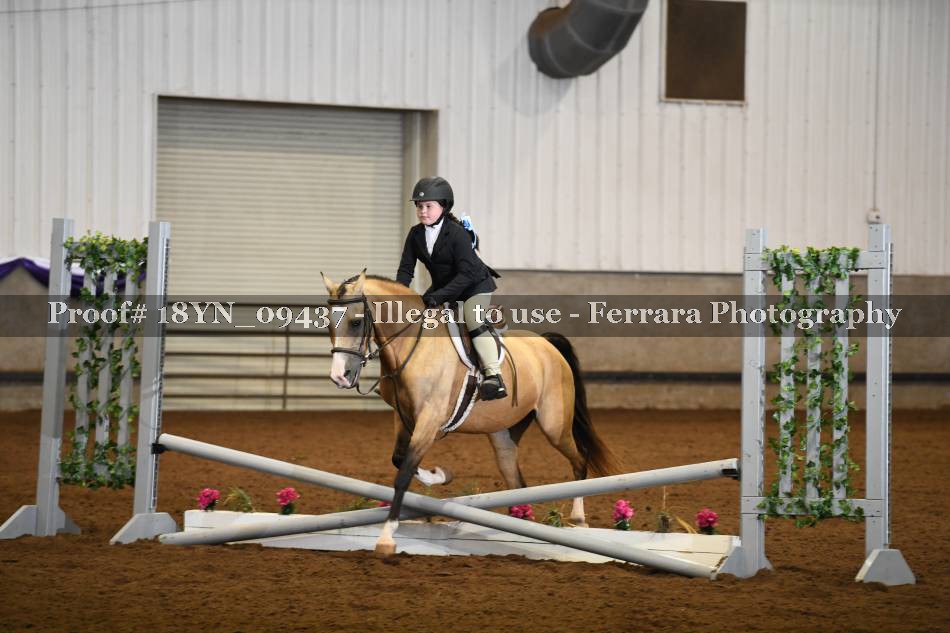 Proof 18YN_09437