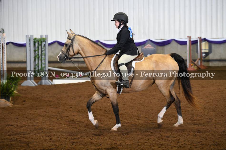 Proof 18YN_09438