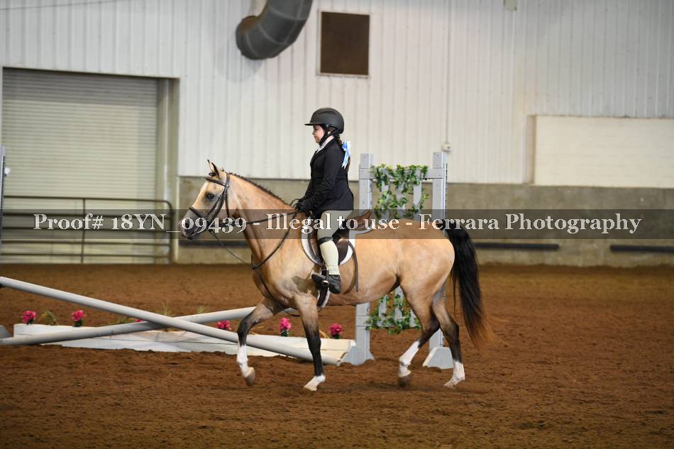 Proof 18YN_09439