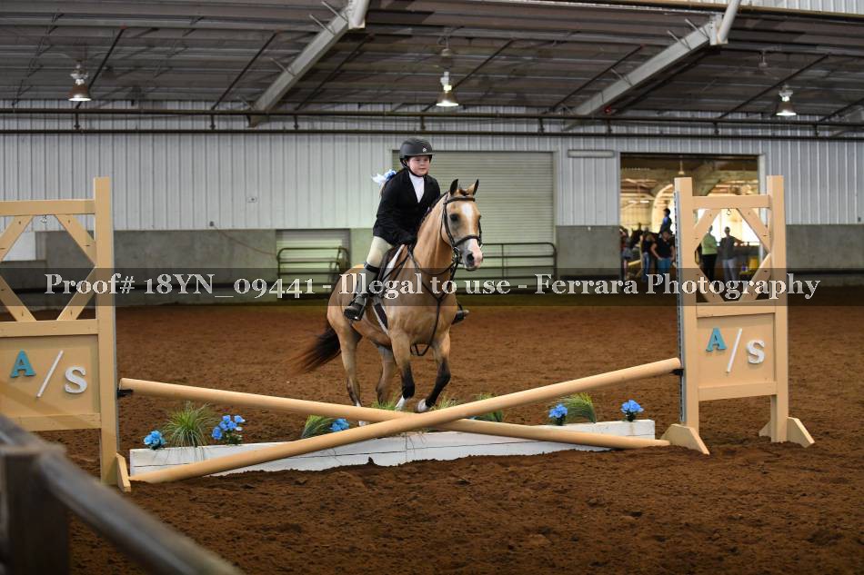 Proof 18YN_09441