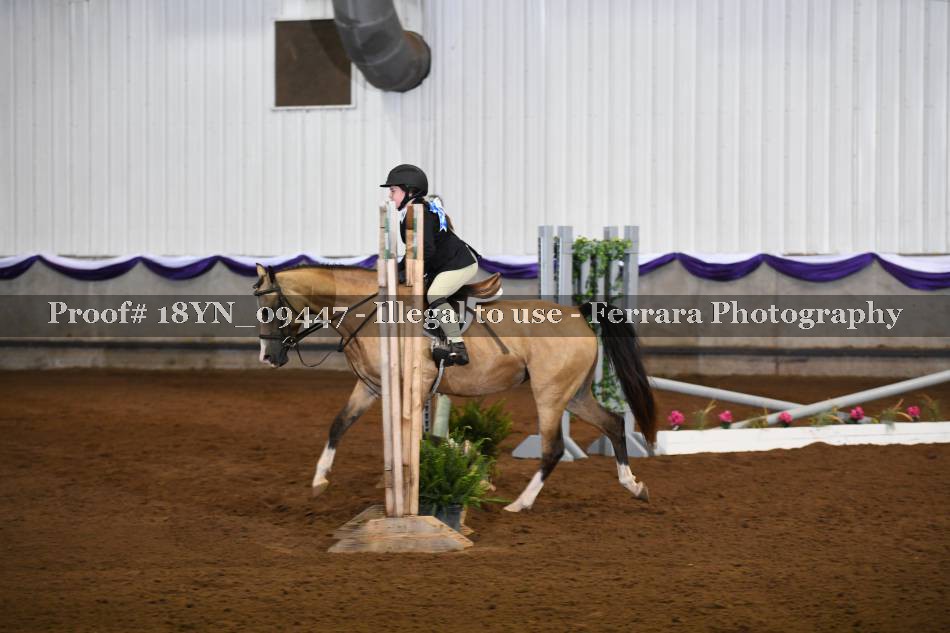 Proof 18YN_09447