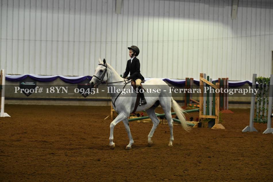 Proof 18YN_09451