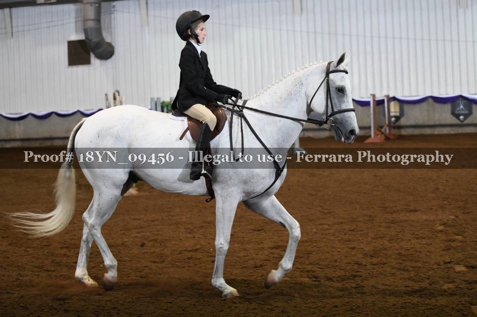 Proof 18YN_09456