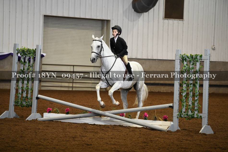 Proof 18YN_09457