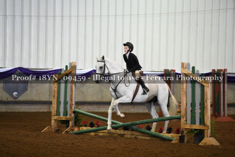 Proof 18YN_09459