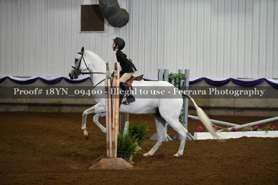 Proof 18YN_09460
