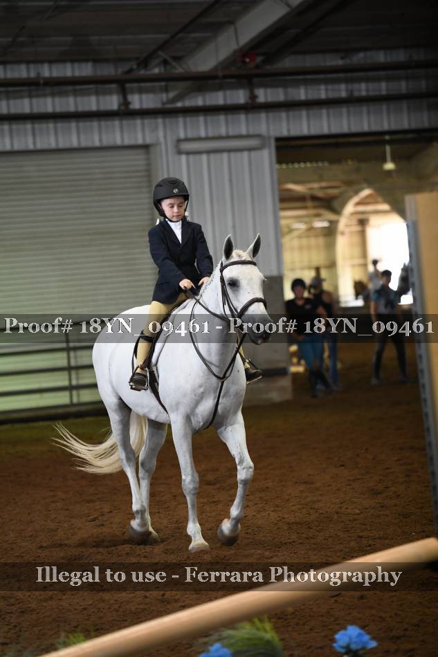 Proof 18YN_09461