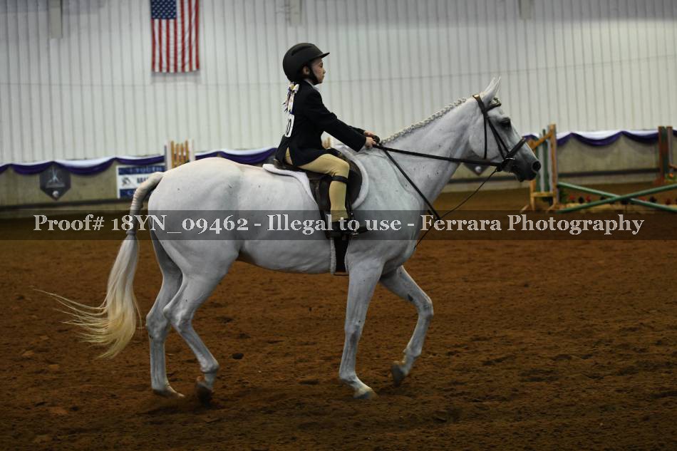 Proof 18YN_09462