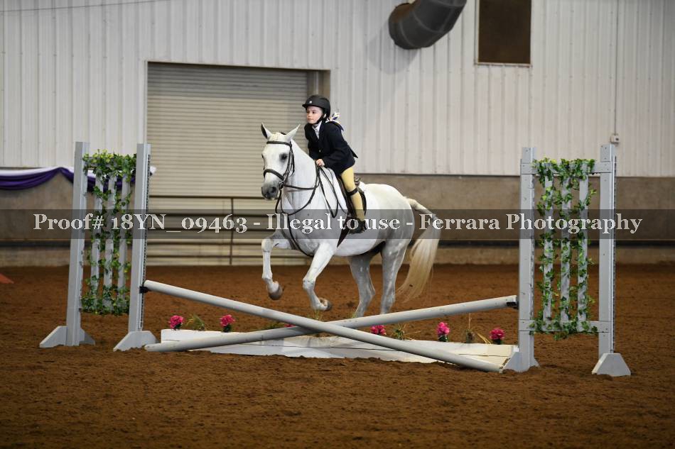 Proof 18YN_09463
