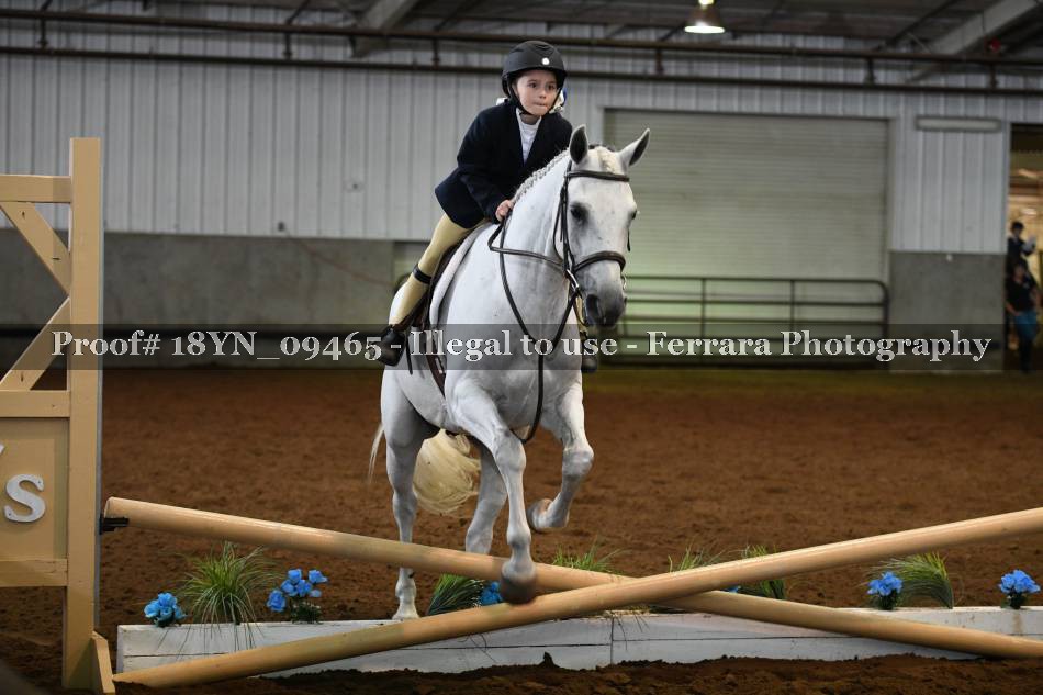 Proof 18YN_09465
