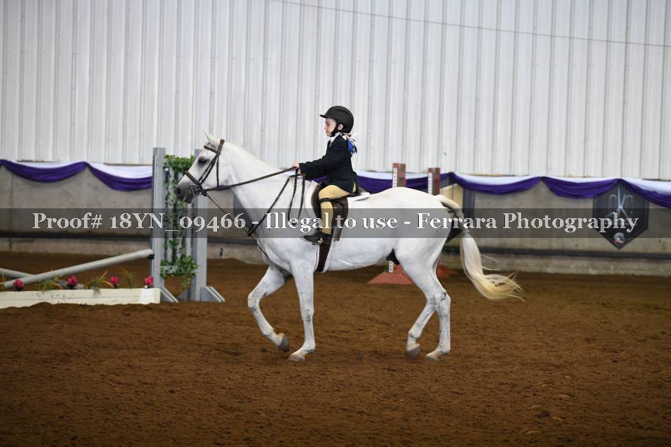 Proof 18YN_09466