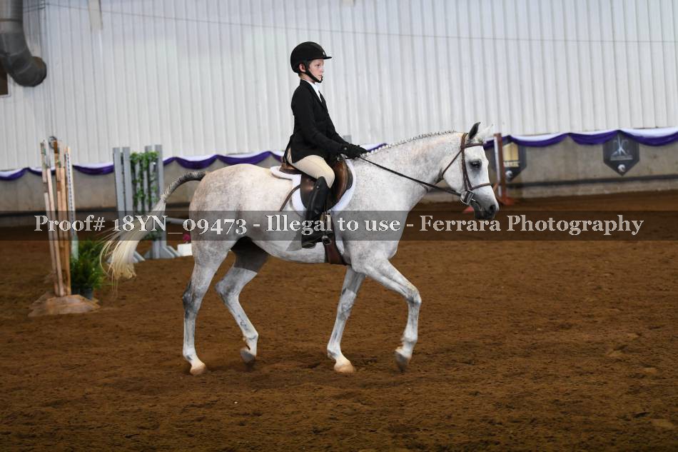 Proof 18YN_09473
