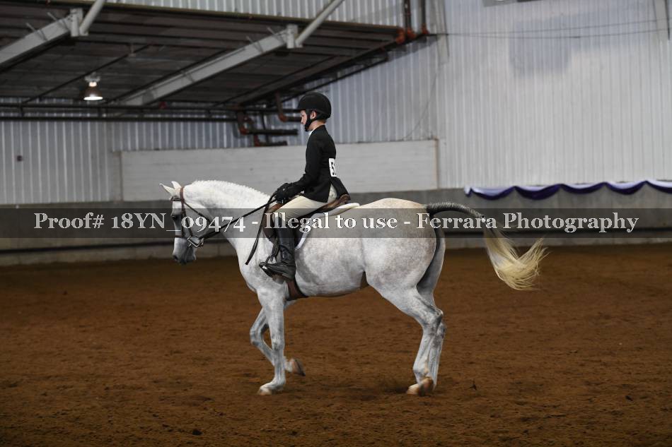 Proof 18YN_09474