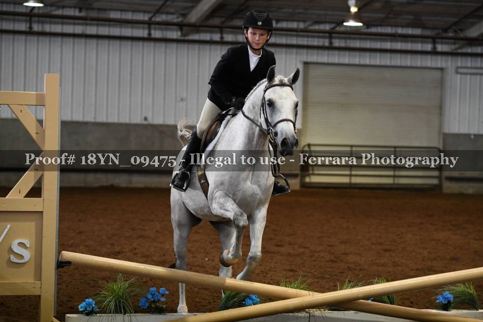 Proof 18YN_09475