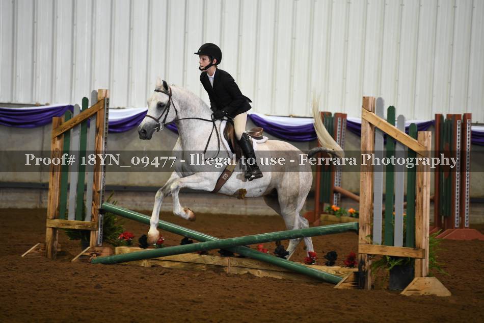 Proof 18YN_09477