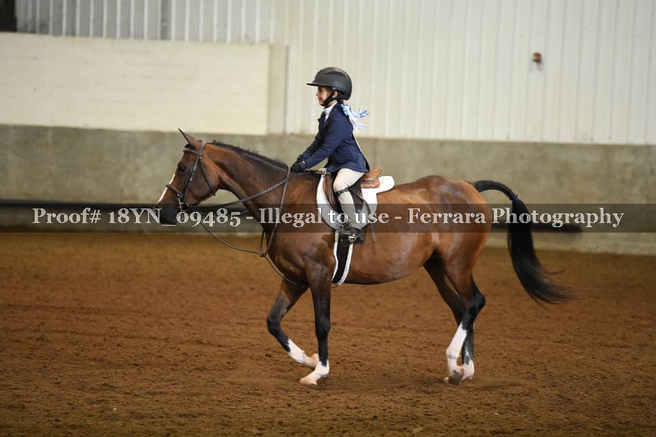 Proof 18YN_09485