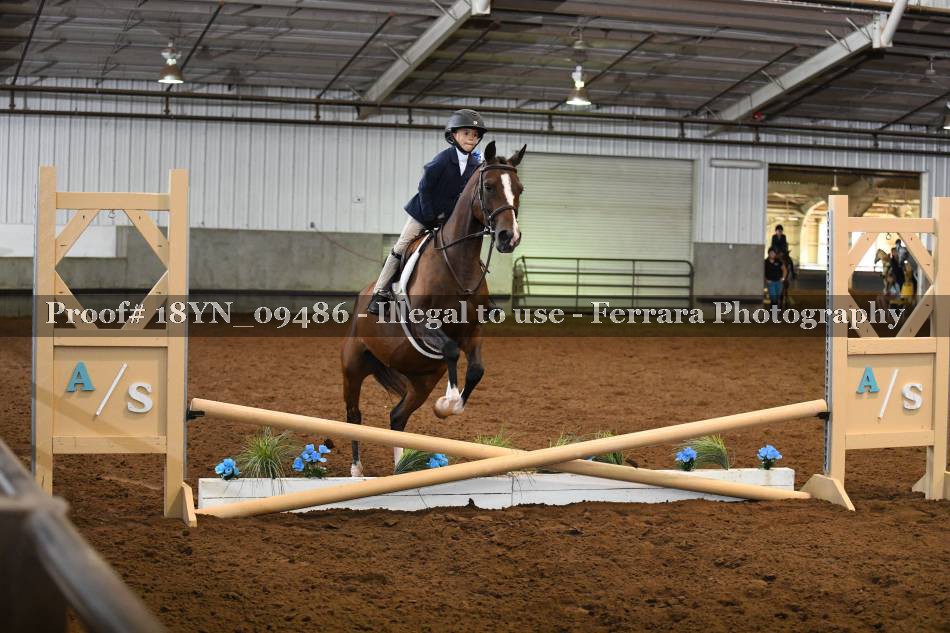 Proof 18YN_09486