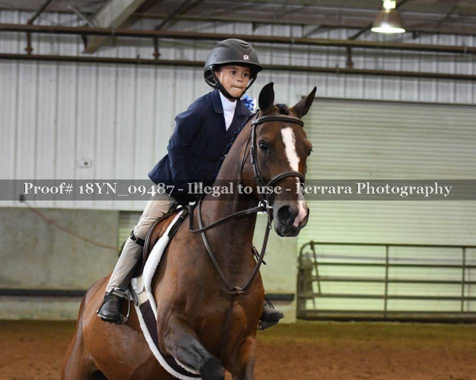 Proof 18YN_09487