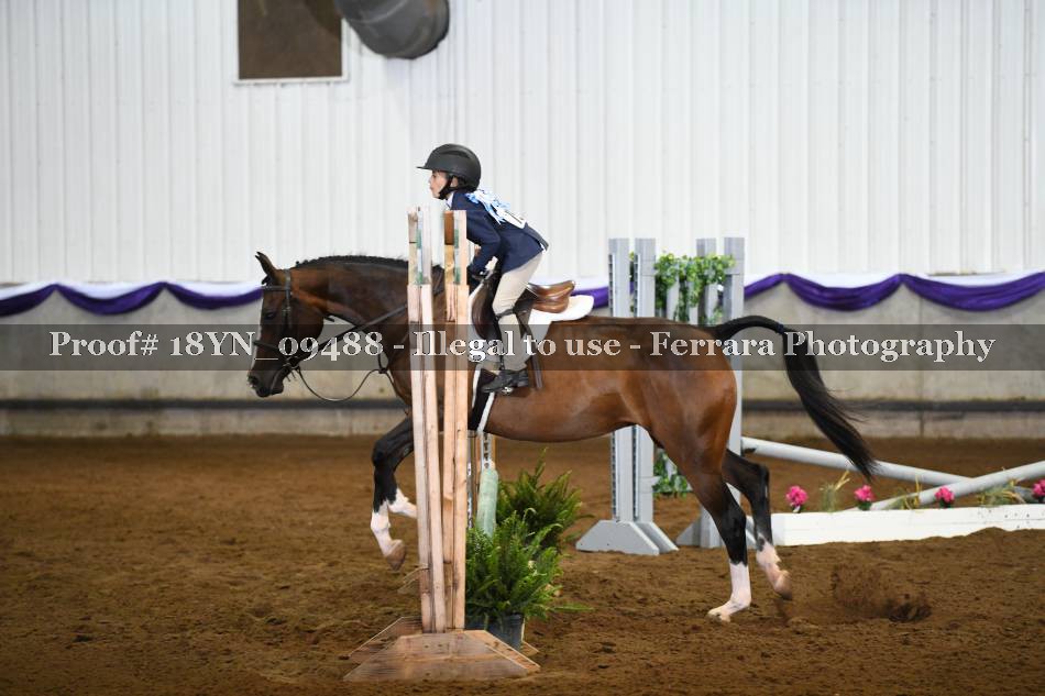 Proof 18YN_09488