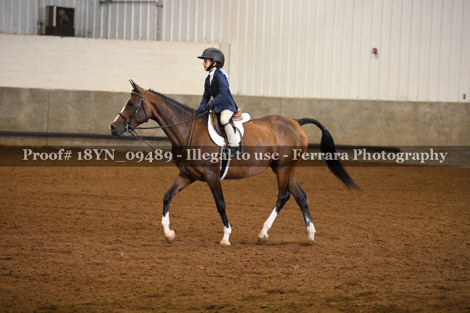 Proof 18YN_09489