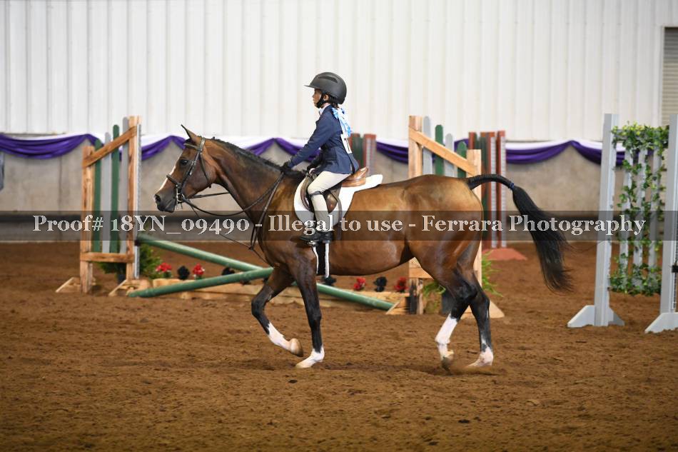 Proof 18YN_09490