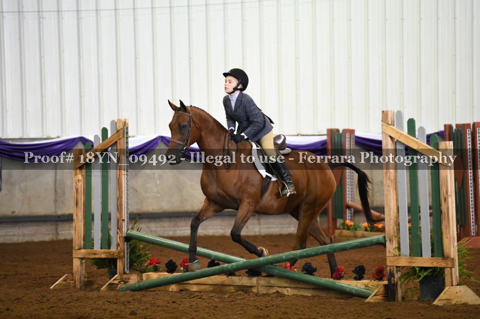 Proof 18YN_09492