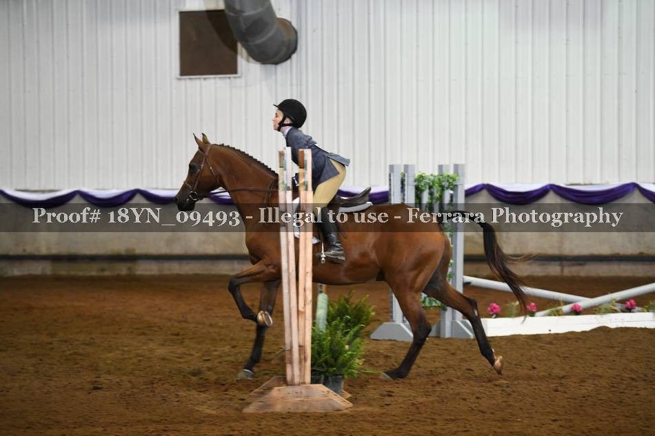 Proof 18YN_09493