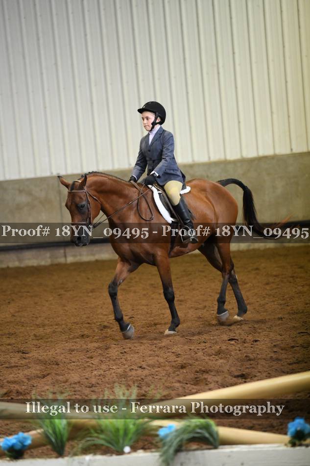 Proof 18YN_09495
