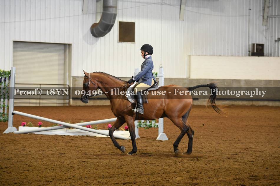 Proof 18YN_09496