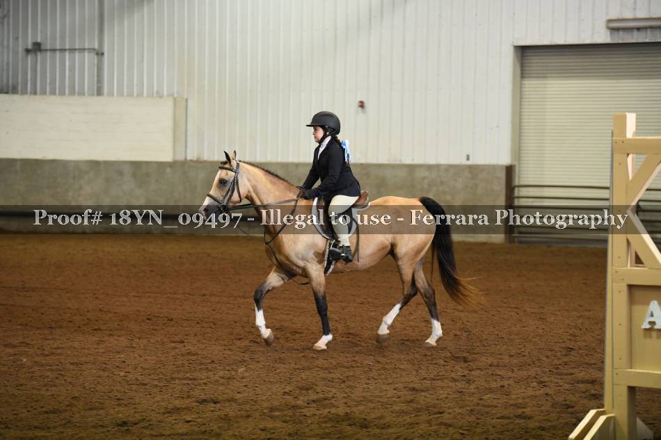Proof 18YN_09497