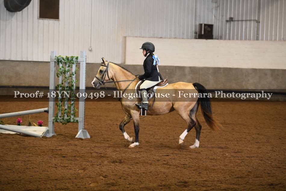 Proof 18YN_09498