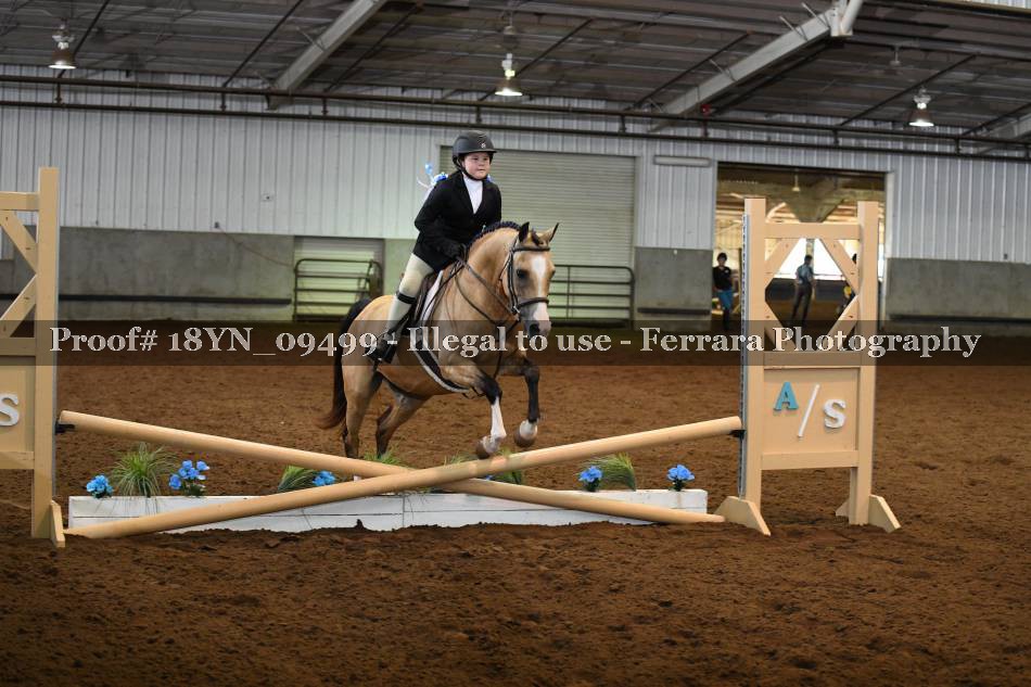 Proof 18YN_09499