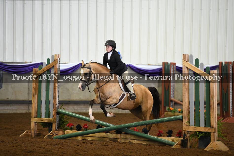Proof 18YN_09501