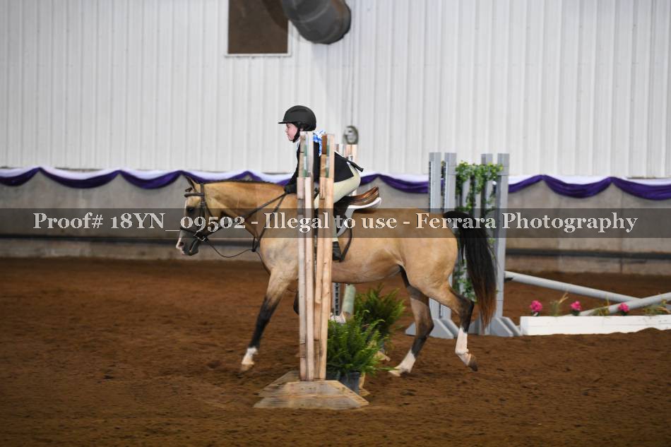 Proof 18YN_09502