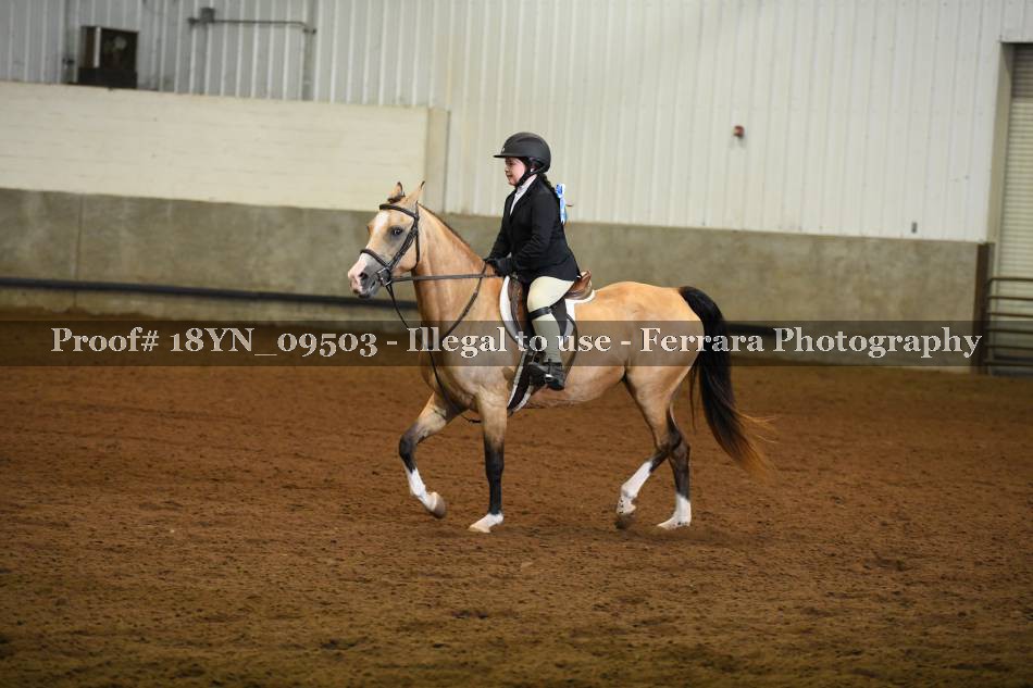Proof 18YN_09503