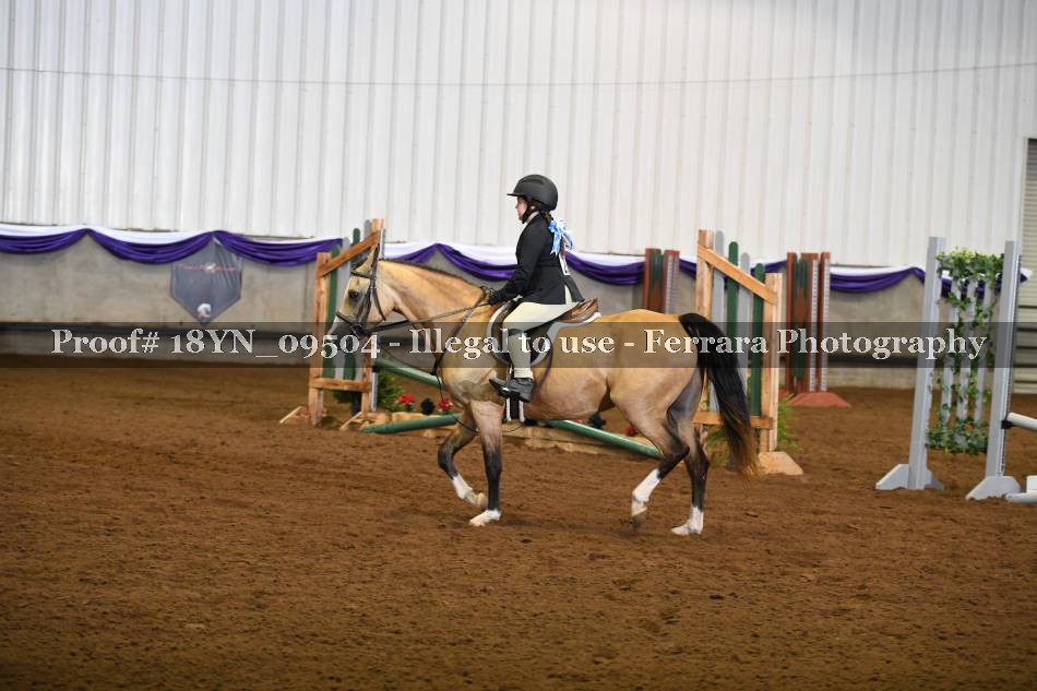 Proof 18YN_09504