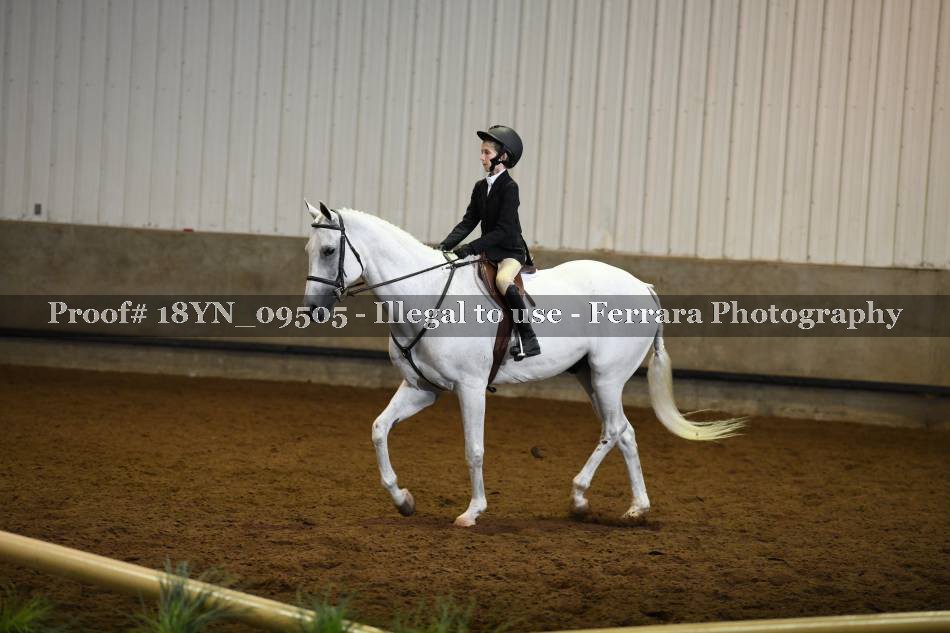 Proof 18YN_09505