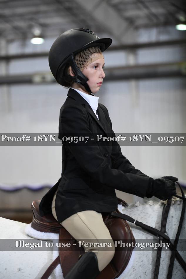 Proof 18YN_09507